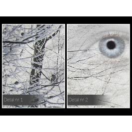 Królowa śniegu - nowoczesny obraz na płótnie - 120x80 cm