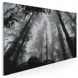 Leśne życie - zdjęcie na płótnie - 120x80 cm Leśne życie - zdjęcie na płótnie - 120x80 cm
