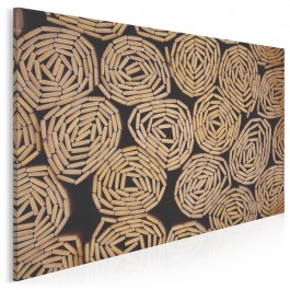 Kręgi wtajemniczenia - fotografia na płótnie - 120x80 cm