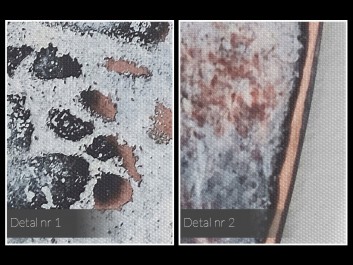 Trzon istnienia - nowoczesny obraz na płótnie - 120x80 cm