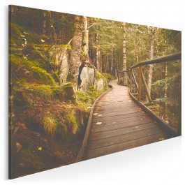 Kraina elfów - fotoobraz do sypialni - 120x80 cm