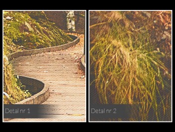 Kraina elfów - fotoobraz do sypialni - 120x80 cm