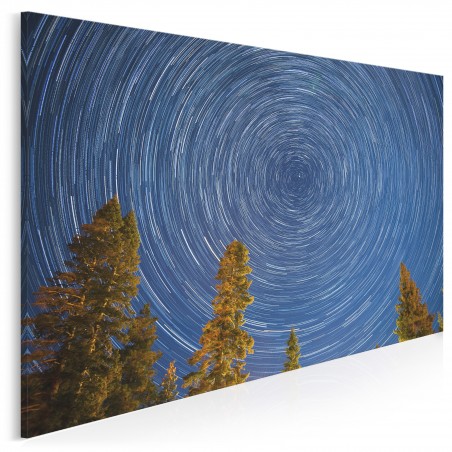 Księżycowa magia - nowoczesny obraz na płótnie - 120x80 cm