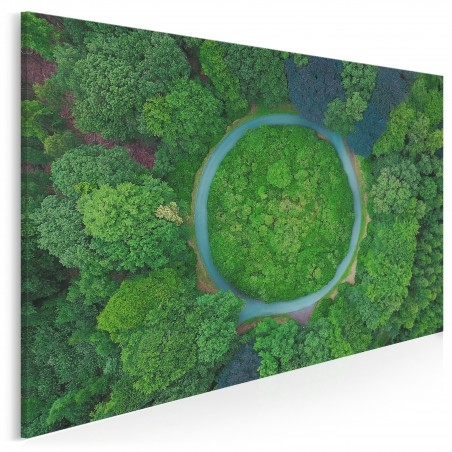 Baśń o mchu i paproci - fotoobraz na płótnie - 120x80 cm