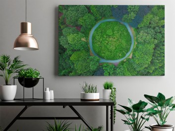 Baśń o mchu i paproci - fotoobraz na płótnie - 120x80 cm Baśń o mchu i paproci - fotoobraz na płótnie - 120x80 cm