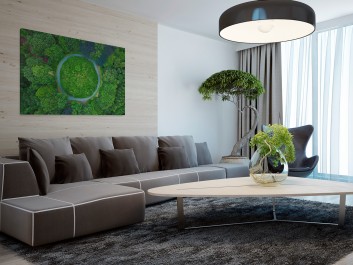 Baśń o mchu i paproci - fotoobraz na płótnie - 120x80 cm Baśń o mchu i paproci - fotoobraz na płótnie - 120x80 cm