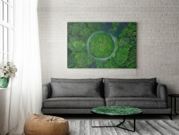 Baśń o mchu i paproci - fotoobraz na płótnie - 120x80 cm Baśń o mchu i paproci - fotoobraz na płótnie - 120x80 cm
