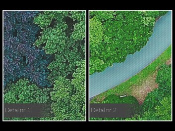 Baśń o mchu i paproci - fotoobraz na płótnie - 120x80 cm Baśń o mchu i paproci - fotoobraz na płótnie - 120x80 cm