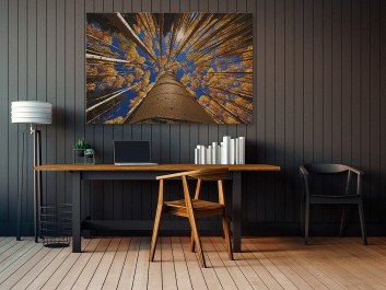 Rudozłoty las - zdjęcie na płótnie - 120x80 cm