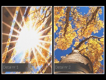 Rudozłoty las - zdjęcie na płótnie - 120x80 cm