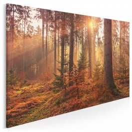 Leśne runo - fotoobraz na płótnie - 120x80 cm