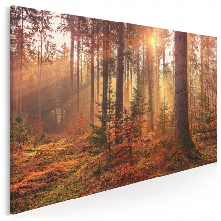 Leśne runo - fotoobraz na płótnie - 120x80 cm