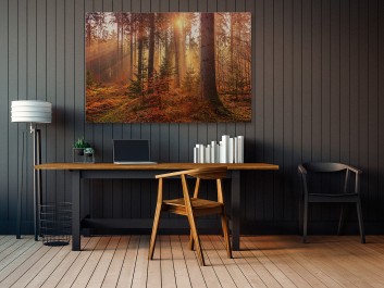 Leśne runo - fotoobraz na płótnie - 120x80 cm