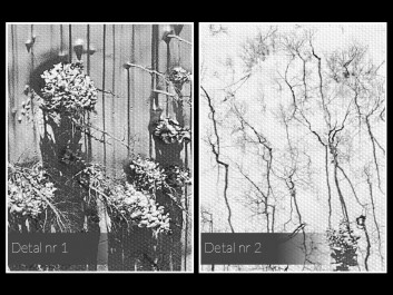 Stepy Akermańskie - nowoczesny obraz na płótnie - 120x80 cm