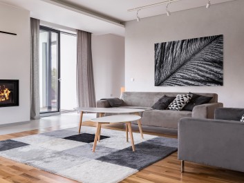 Srebrzysta zwiewność - fotoobraz na płótnie - 120x80 cm