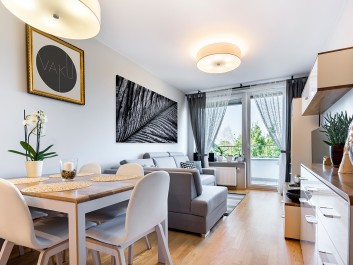 Srebrzysta zwiewność - fotoobraz na płótnie - 120x80 cm