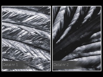 Srebrzysta zwiewność - fotoobraz na płótnie - 120x80 cm