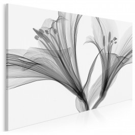 Lilly - fotoobraz do salonu - 120x80 cm Lilly - fotoobraz do salonu - 120x80 cm