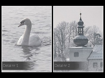 Jezioro łabędzie - zdjęcie na płótnie - 120x80 cm Jezioro łabędzie - zdjęcie na płótnie - 120x80 cm