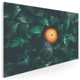 Brazylijska pomarańcza - fotoobraz do kuchni - 120x80 cm