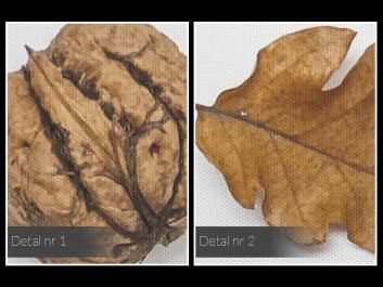 Twardy orzech do zgryzienia - fotoobraz do kuchni - 120x80 cm