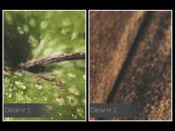 Zielone jabłuszko - fotoobraz do kuchni - 120x80 cm