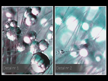 Lekkość uniesienia - fotoobraz do sypialni - 120x80 cm