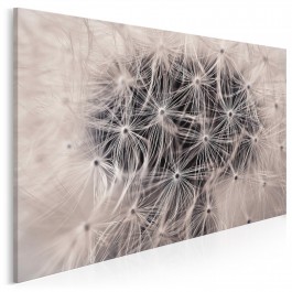 Kielichowy puch - fotoobraz do salonu - 120x80 cm Kielichowy puch - fotoobraz do salonu - 120x80 cm