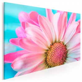 Kwiatki, bratki, stokrotki... - zdjęcie na płótnie - 120x80 cm Kwiatki, bratki, stokrotki... - zdjęcie na płótnie - 120x80 cm