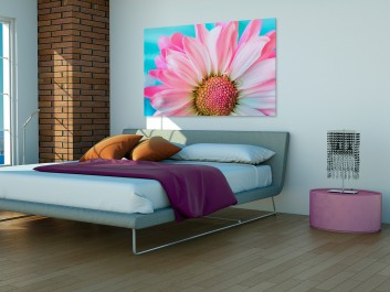 Kwiatki, bratki, stokrotki... - zdjęcie na płótnie - 120x80 cm Kwiatki, bratki, stokrotki... - zdjęcie na płótnie - 120x80 cm