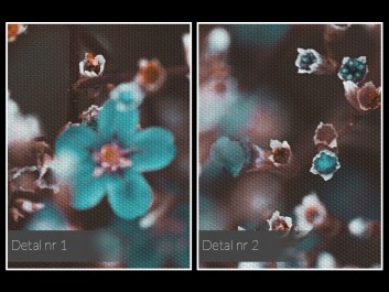 Niezapominajki z bajki - fotografia na płótnie - 120x80 cm