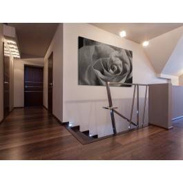 Elegancja róży - nowoczesny obraz na płótnie - 120x80 cm Elegancja róży - nowoczesny obraz na płótnie - 120x80 cm