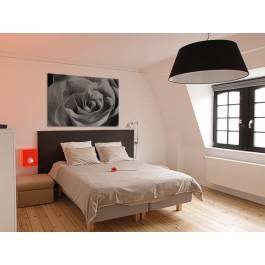 Elegancja róży - nowoczesny obraz na płótnie - 120x80 cm Elegancja róży - nowoczesny obraz na płótnie - 120x80 cm