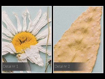 100 lat hibernacji - fotoobraz do sypialni - 120x80 cm 100 lat hibernacji - fotoobraz do sypialni - 120x80 cm