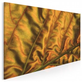 Velvet - fotoobraz na płótnie - 120x80 cm Velvet - fotoobraz na płótnie - 120x80 cm
