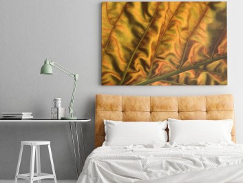 Velvet - fotoobraz na płótnie - 120x80 cm Velvet - fotoobraz na płótnie - 120x80 cm