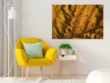Velvet - fotoobraz na płótnie - 120x80 cm Velvet - fotoobraz na płótnie - 120x80 cm