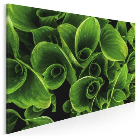 Fluktuacja - nowoczesny obraz na płótnie - 120x80 cm