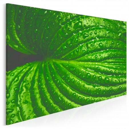 Aberracja - fotoobraz do salonu - 120x80 cm