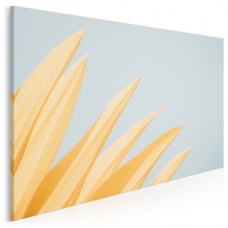Helios - fotoobraz do sypialni - 120x80 cm
