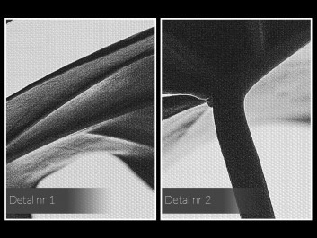 Era monstery - fotografia na płótnie - 120x80 cm Era monstery - fotografia na płótnie - 120x80 cm