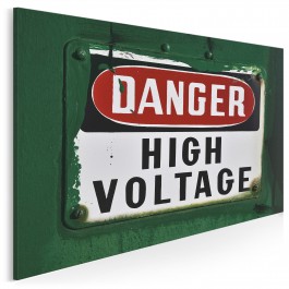 Danger - high voltage - fotoobraz do sypialni - 120x80 cm