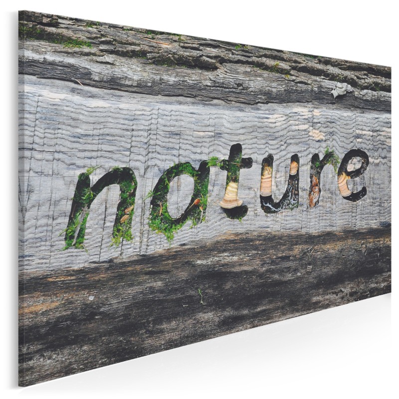 Nature - fotografia na płótnie - 120x80 cm