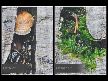 Nature - fotografia na płótnie - 120x80 cm Nature - fotografia na płótnie - 120x80 cm