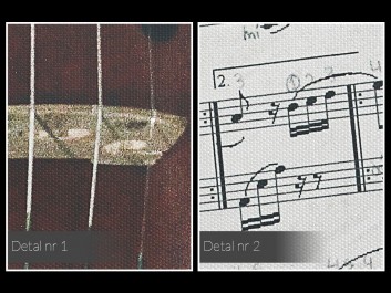 Muzyka klasyczna - zdjęcie na płótnie