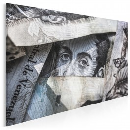 Wzrok Bolivara - fotoobraz na płótnie - 120x80 cm