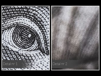 Wzrok Bolivara - fotoobraz na płótnie - 120x80 cm