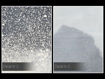 W objęciach chłodu  - nowoczesny obraz na płótnie - wariant 2 - 50x70 cm