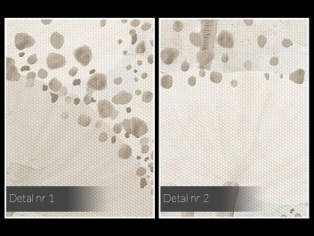 Małe tęsknoty - nowoczesny obraz na płótnie - 50x70 cm