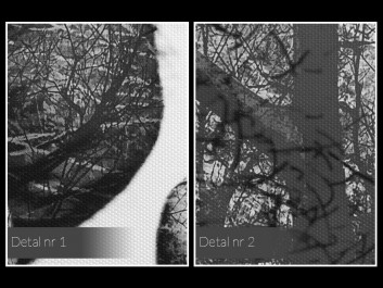 Antologia namiętności - nowoczesny obraz na płótnie - 50x70 cm